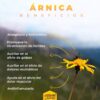 Árnica-Beneficios