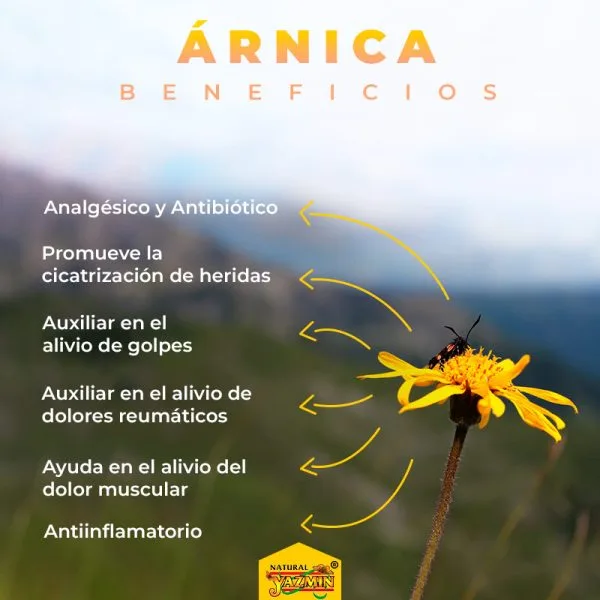 Árnica-Beneficios