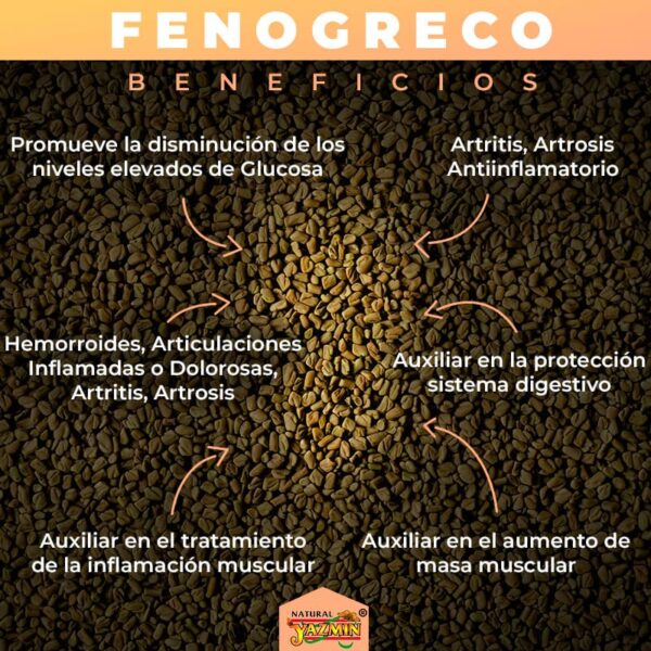 Fenogreco-Beneficios