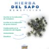 Hierba-del-Sapo-Beneficios