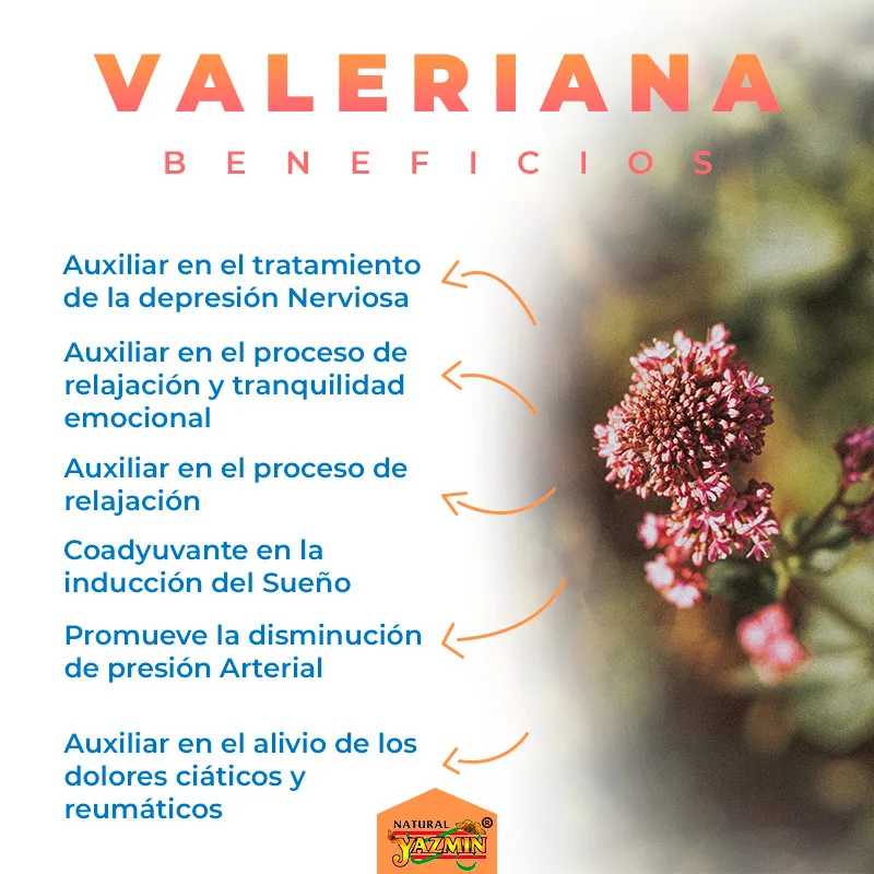 Valeriana-Beneficios