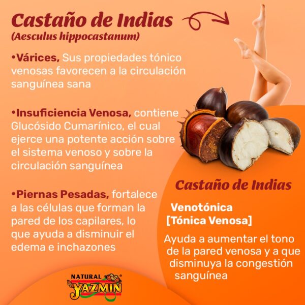 Castaño de Indias | 150 Pastillas 400 mg - Imagen 5