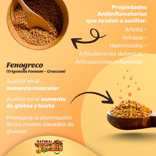 Fenogreco | 150 Cápsulas de 400mg - Imagen 5