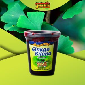 Cápsulas-de-Ginkgo-Biloba