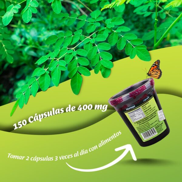 Capsulas-de-Moringa