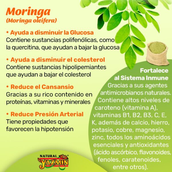 Moringa | 150 Cápsulas de 400mg - Imagen 5