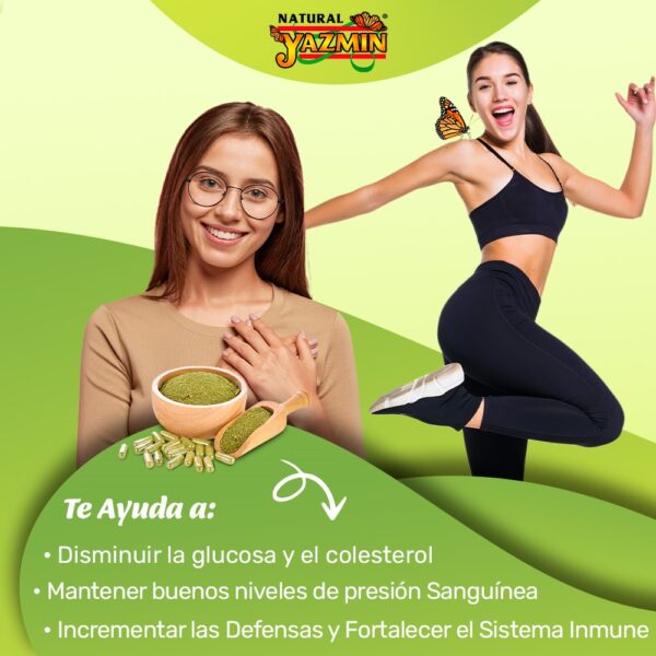 Moringa | 150 Cápsulas de 400mg - Imagen 6