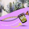 Hierba del Sapo | 150 Cápsulas 400mg - Imagen 3