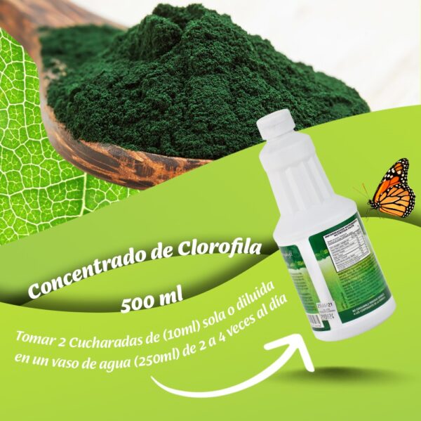 clorofila-liquida-de-500-ml-2