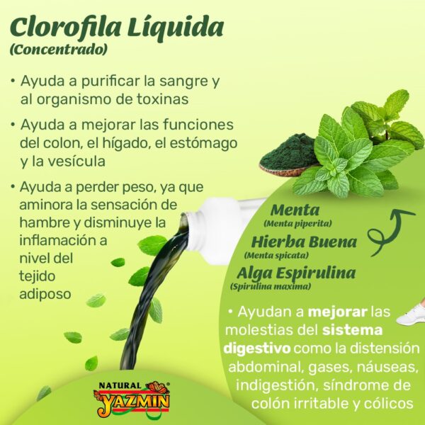 Clorofila Líquida | 500 ml | Con Espirulina - Imagen 3