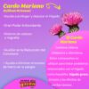 Pastillas-de-Cardo-Mariano-Natural-Yazmin-10