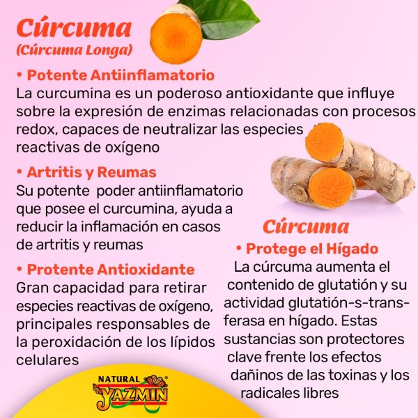 Cúrcuma y Ajo | 150 Cápsulas de 400mg - Imagen 5